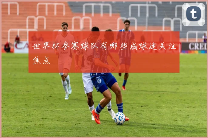 世界杯参赛球队有哪些成球迷关注焦点