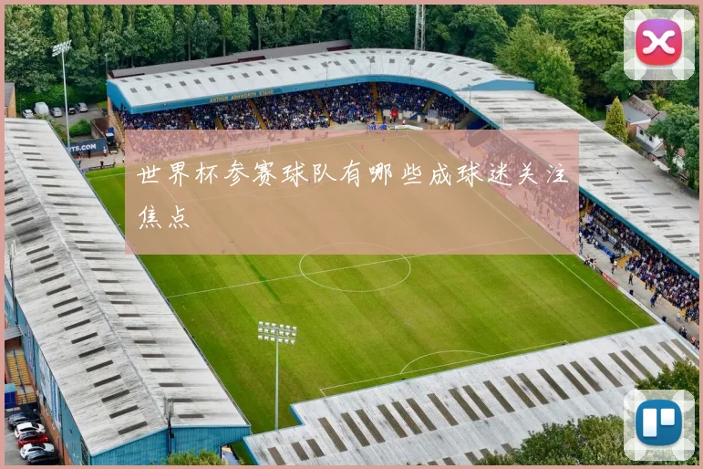 世界杯参赛球队有哪些成球迷关注焦点