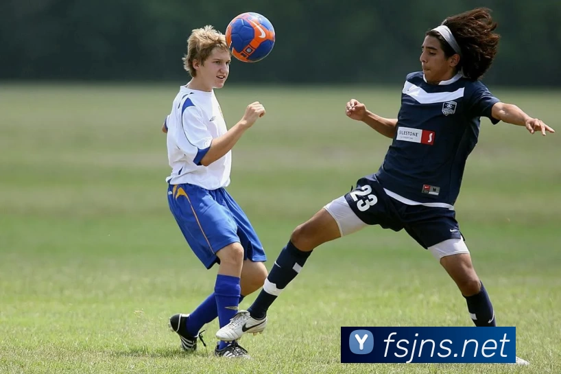 俄罗斯世界杯中国官网平台生态图